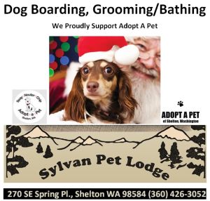 Sylvan Pet Lodge of Shelton WA offers dog grooming as well as boarding