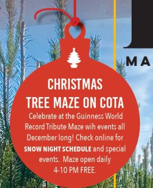 Festival of the Firs Christmas Tree Maze Shelton WA